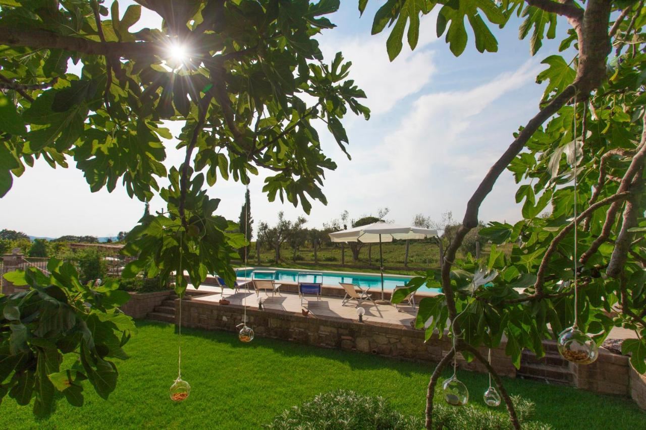 Ficolivo Bed & Breakfast Питиляно Екстериор снимка