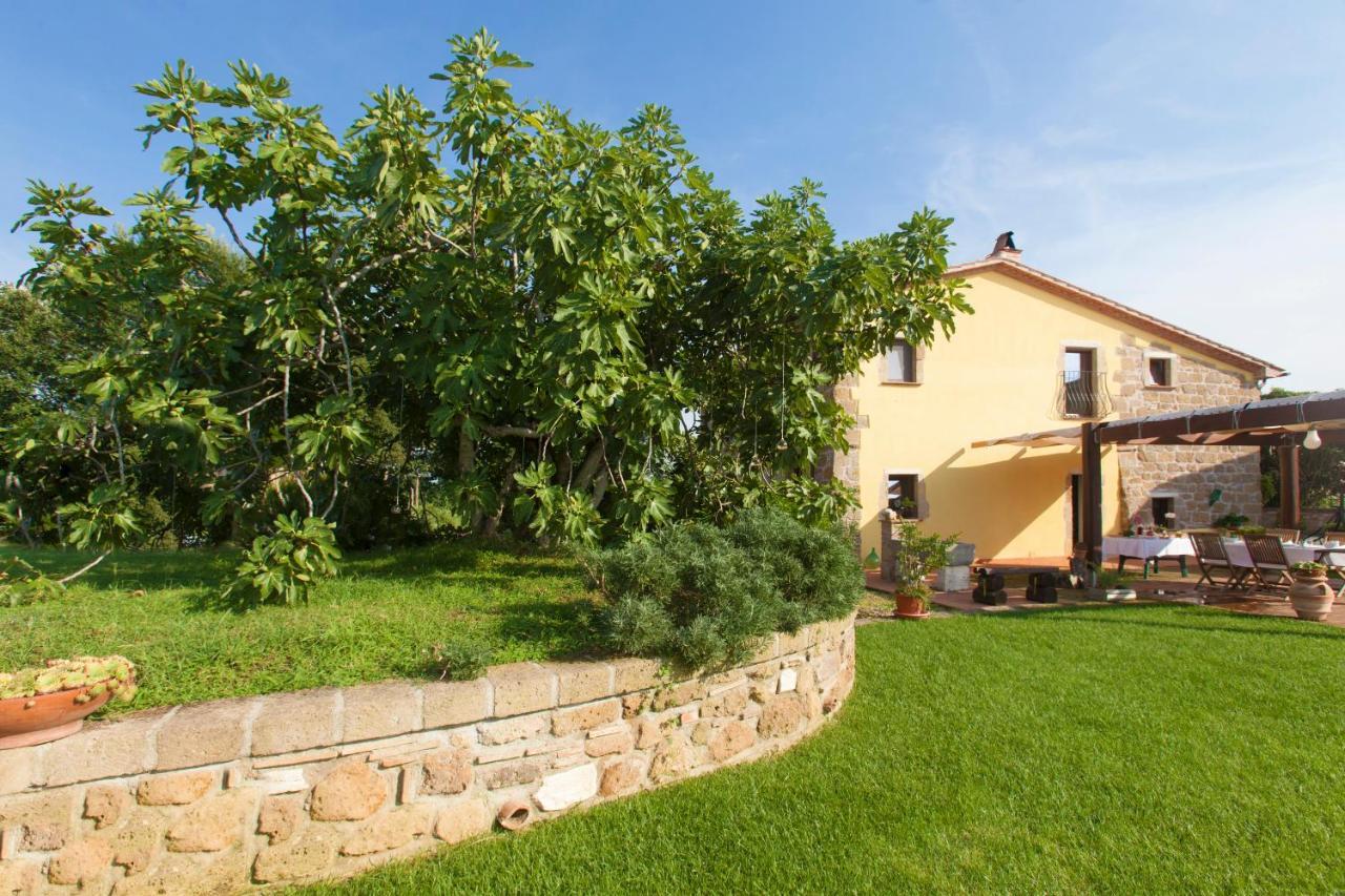 Ficolivo Bed & Breakfast Питиляно Екстериор снимка